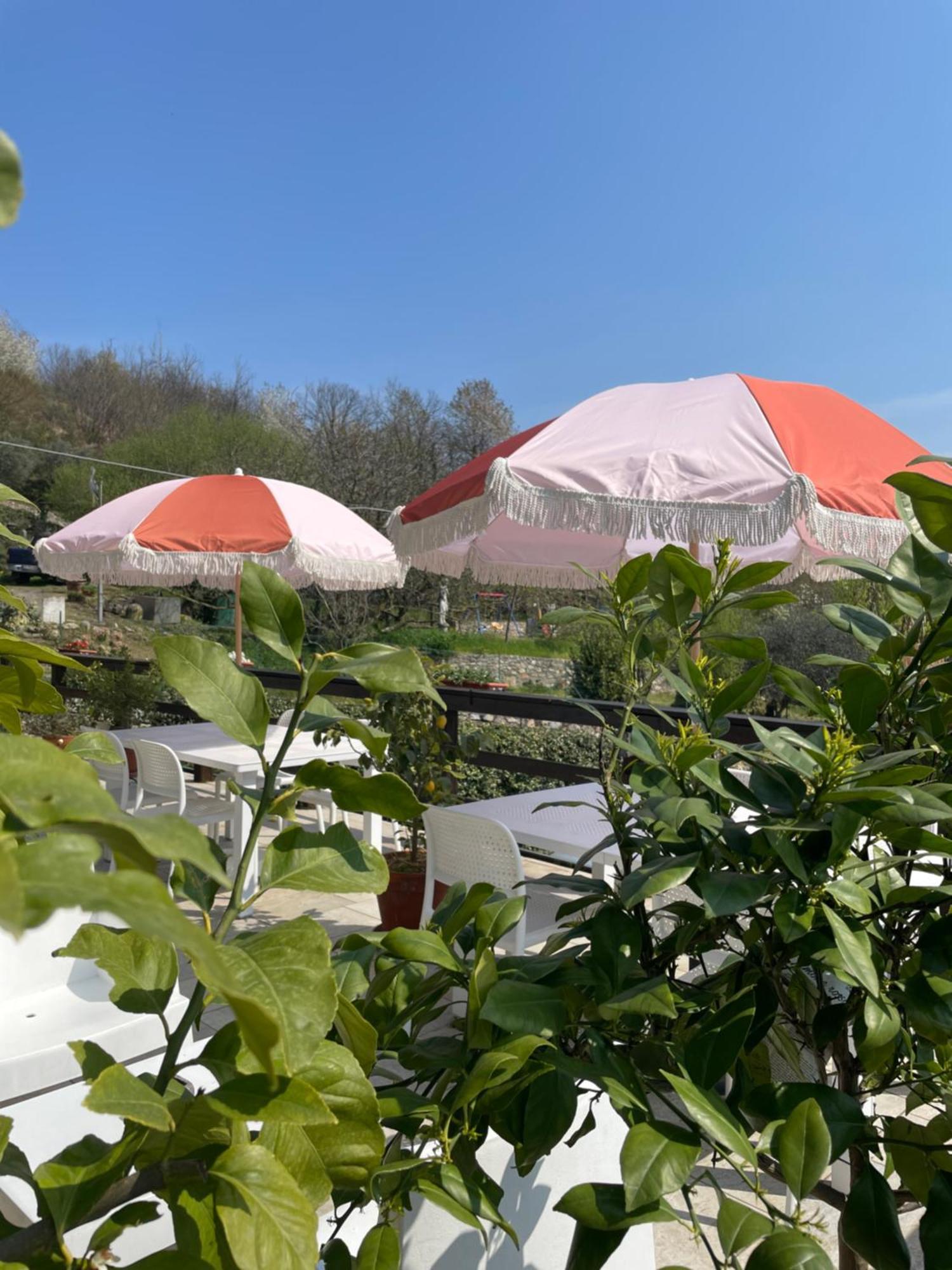 아로나 Bb10 Oasi 게스트하우스 외부 사진